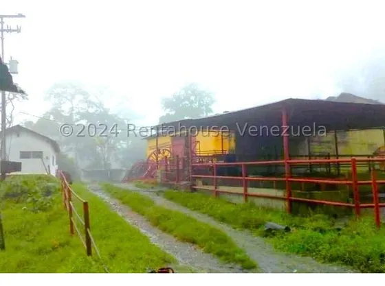 Bella Finca En Lara Anzoátegui Municipio Moran, Cuenta Con Cincuenta Hectáreas Productivas Y Sembradios De Cafe, Agua Full Con Cuatro Casa,  2 4 - 2 1 4 7 6 , Ideal Para Invertir Francisco Rojas Rah!!