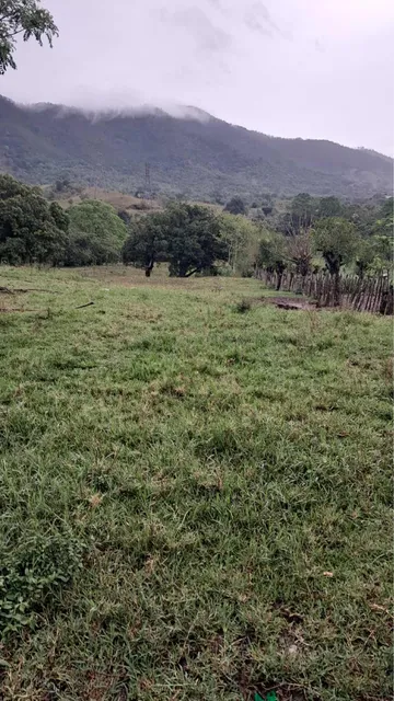Título Original