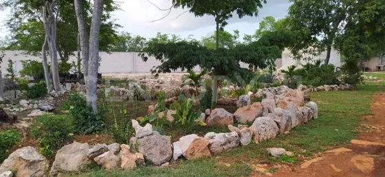 Terreno De 1.5 Has Con Construcción En Dzununcan Cerca De Periferico De Mérida.
