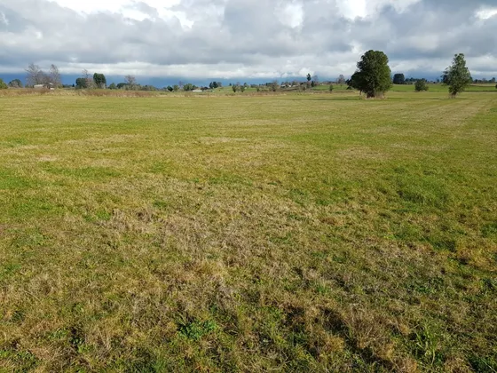 Terreno Ignao / Lago Ranco / Región De Los Ríos