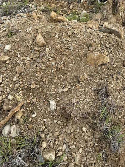Venta De Terreno En Bani