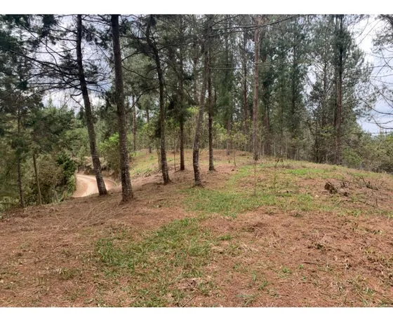 Lote En Venta Sector Lejos Del Nido En El Retiro 