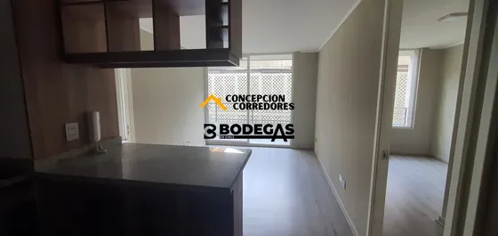 Departamento 2d+1b Santiago Sector Metro Parque Almagro