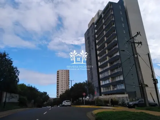 Departamento Venta /montemar Con-con