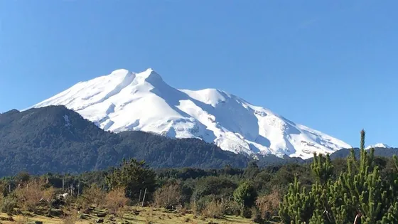 Parcela En Venta En Puerto Varas