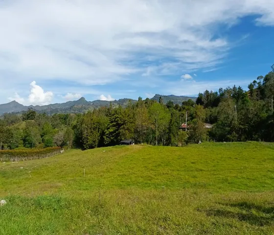 Exclusivo Lote Rural De 30 Mil M2 Semiplano Cerca Al Centro De Pacho