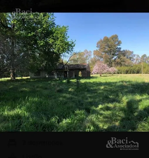 Chacra - Canning (ezeiza)