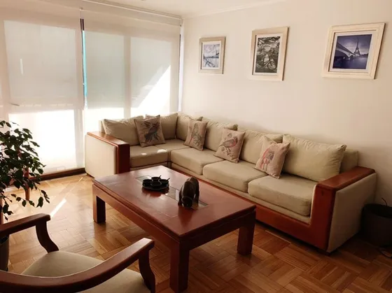 Arriendo Depto 2d 2b Metro Manuel Montt, Providencia