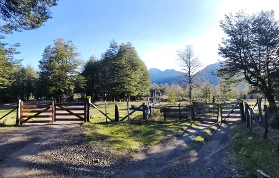 Pp Parcela Rodeada De Bosque Nativo Entrada De Geyseralpehue