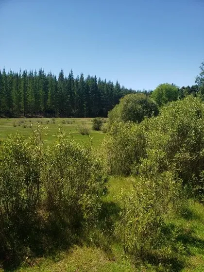 Parcela En Venta En Villa Baviera