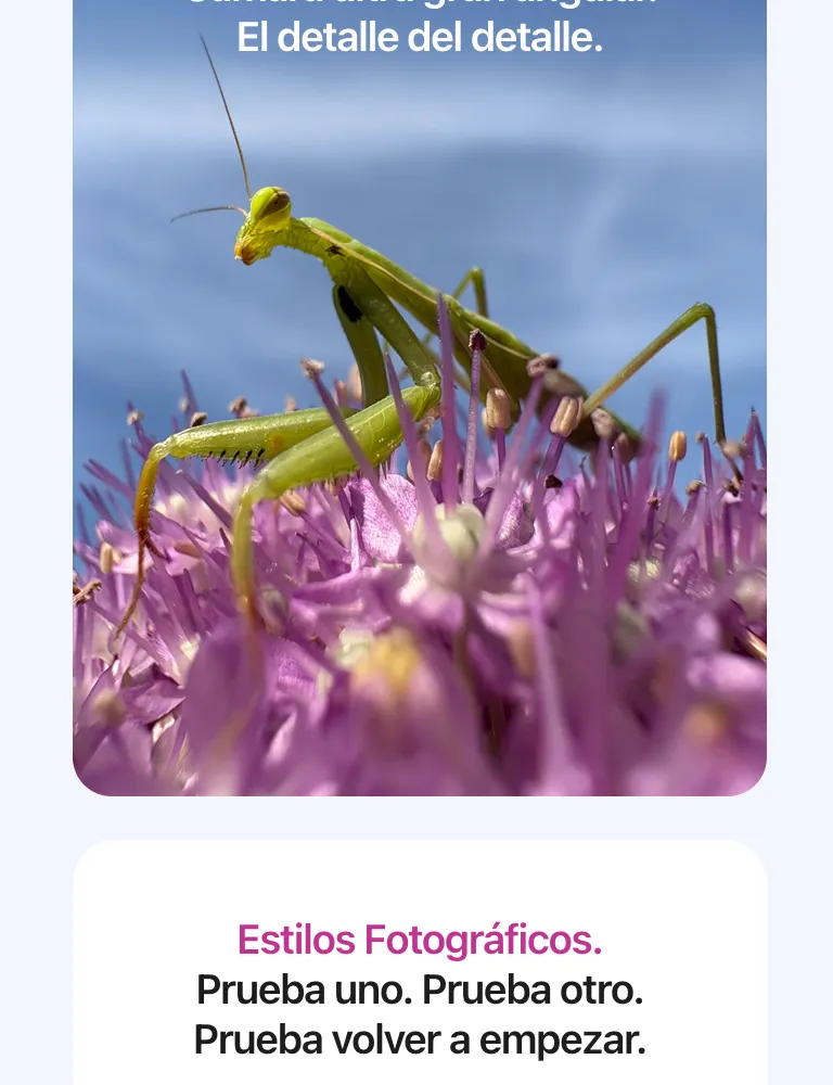 descripción