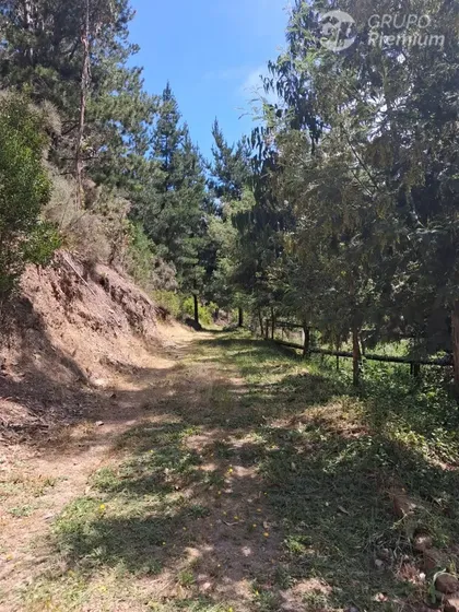Venta De Parcela En Paredones. Oportunidad