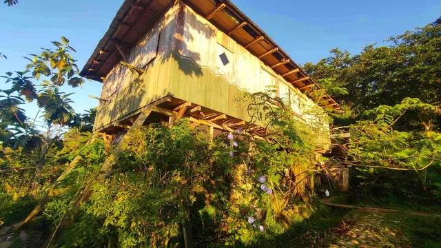 Finca Comunitaria Autosostenible En La Amazonía Ecuatoriana
