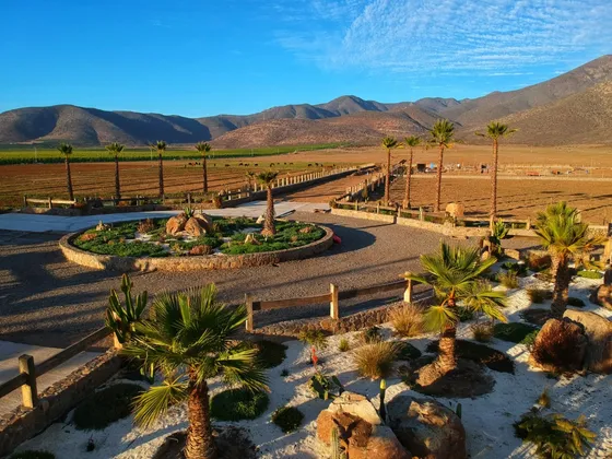 Rebajado / Reserva Ripamonti/ Sector Pan De Azucar/ Coquimbo