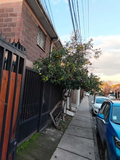 ¡excelente Casa En Venta! 2pisos3d1b  (103039)