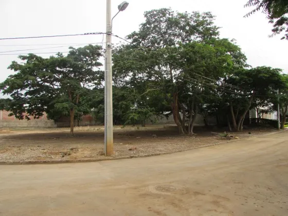 Lote En Venta En Villa Del Rosario, Tamarindo. Cod V21118