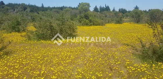 Parcela En Venta En Parral Sector Machicura