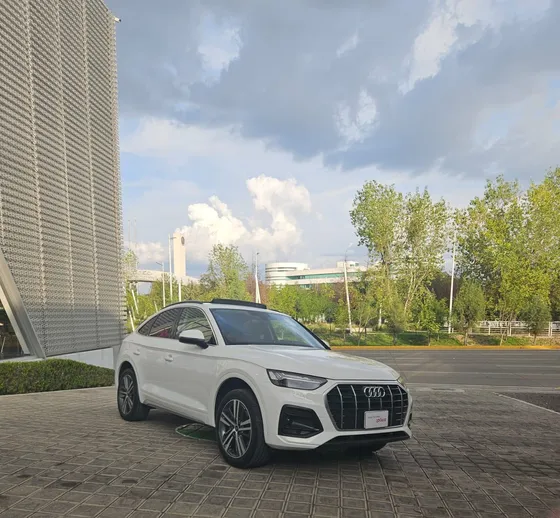 Audi Q5 2.0 L 45 Tfsi Elite Mhev