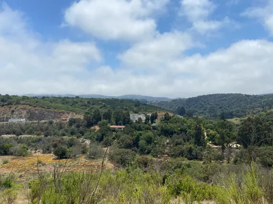 Parcela En Venta En Zapallar