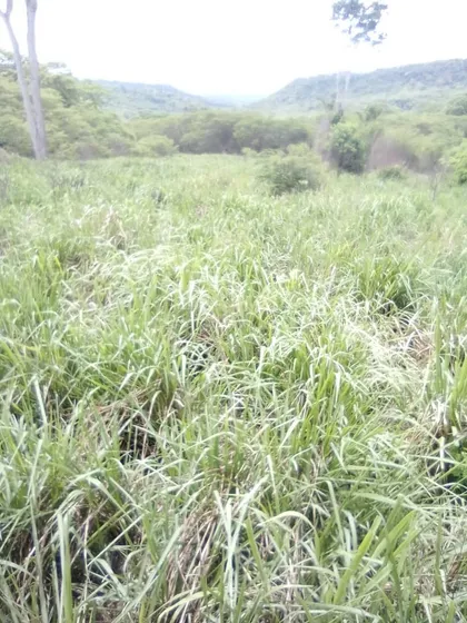 En Venta Finca De 2.000hectareas En Yacaral , Falcon 