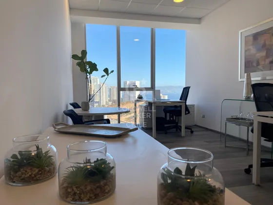 Proyecto De Oficinas Con Vision De Futuro