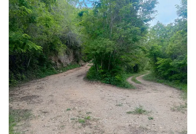 Terreno En Venta Res O Agrícola Sabaneta En El Hatillo Caracas
