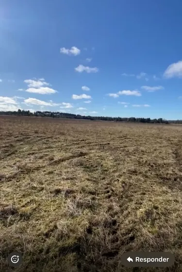 Terreno Los Prados De Fresia 5000 M2