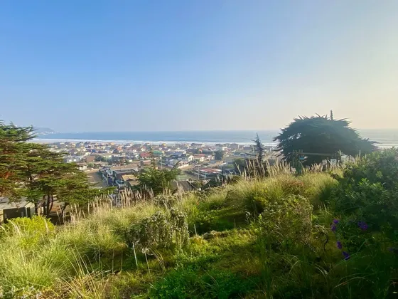 Oportunidad Departamento Con Vista Al Mar Y Jardín