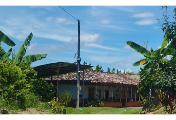 Finca En Quimbaya Para La Venta De 2.6 Cuadras En Cafe Con Nacimiento