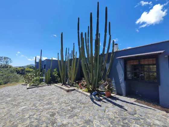 Finca En Barbosa Popalito