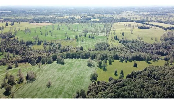 Predio De 190 Ha En Frutillar Region De Los Lagos