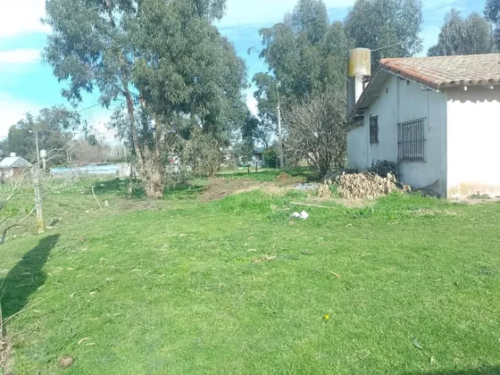 Casa En Venta - 1 Dormitorio 1 Baño - 804mts2 - Mar Del Plata