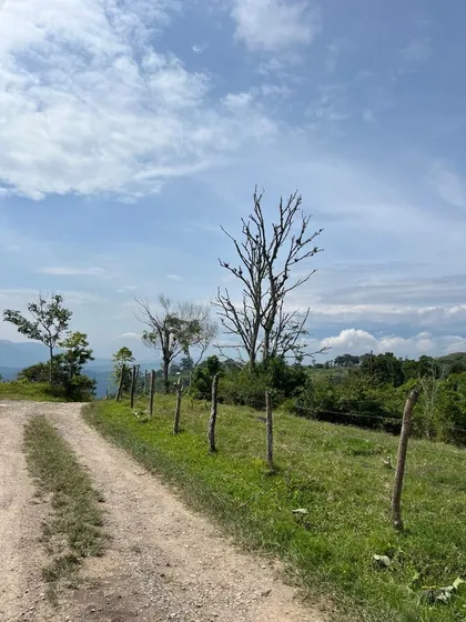 Terreno. Capacho Paramo Del Duende. En Venta 