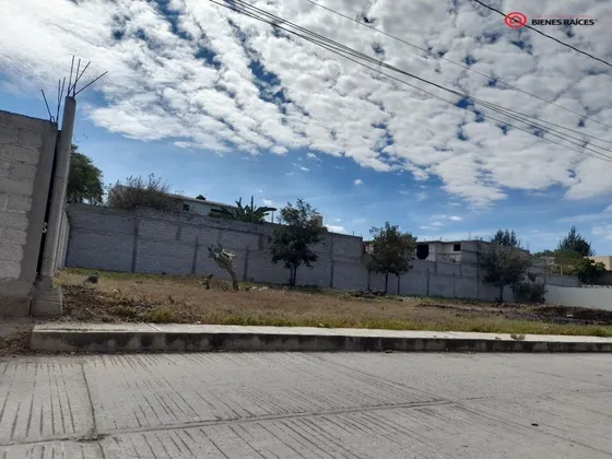 Ventade Lotes En La Reforma Ixmiquilpan