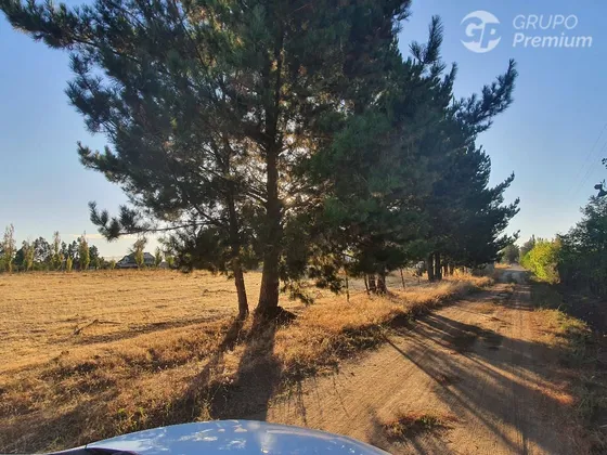 Parcela 5200m2 En Venta En Chillán 