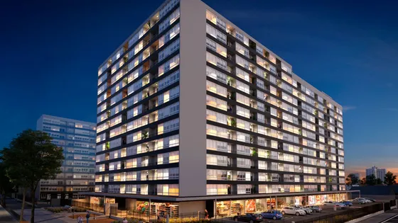 Pintor Cicarelli I - Maestra