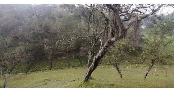 Lote En Venta Sector Partidas De Chaparral San Vicente