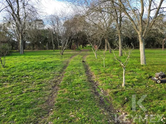 Campo En Venta En Arturo Seguí