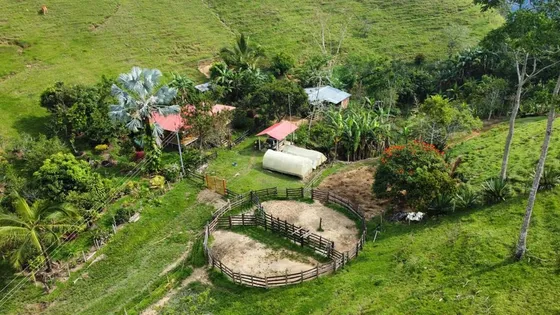 Se Vende Finca Ganadera En Maceo A 3 Kilometros De La Via Ppal Hacia Puerto Berrio