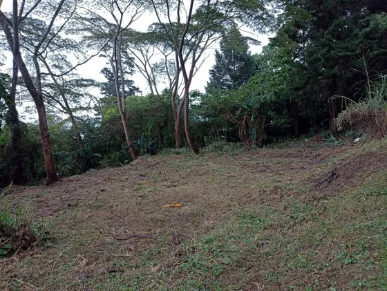 Lote En Venta En Vereda Santa Catalina. Cod V12416