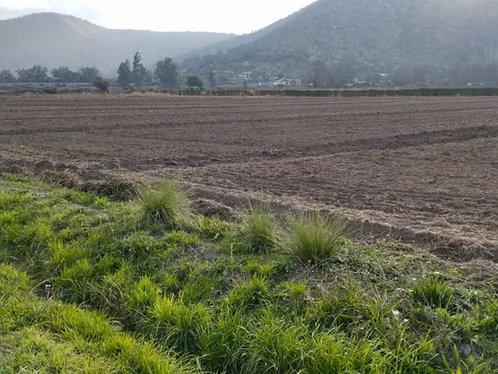 Pirque  4 Has Planas