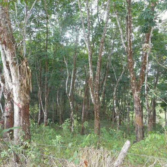 Venta De Terreno Rustico Río Manso