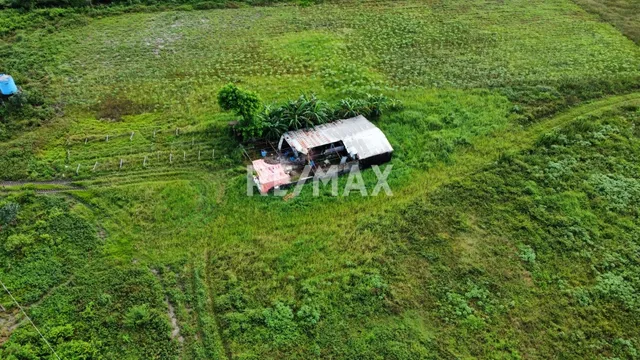 Se Vende Finca Al Sur De Maturín 