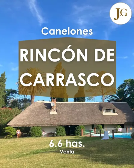 Chacra - Rincón De Carrasco - 6.6 Has