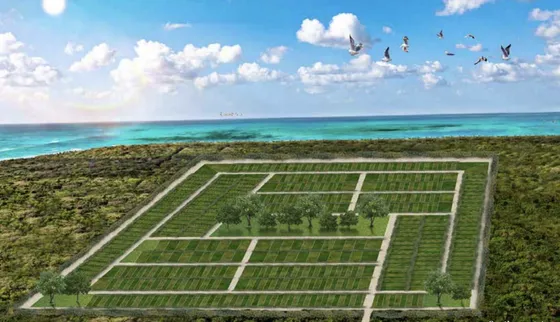 Lotes Playa Gaviotas En Venta, Ubicados En Chabihau , Puerto De San Crisanto.