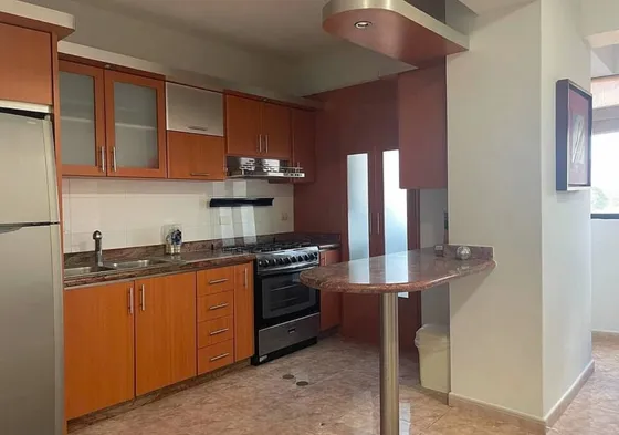 Alquiler Apartamento Amoblado Con Pozo Y Planta Urb La Trigaleña Valencia Mp Solo Clientes 284430