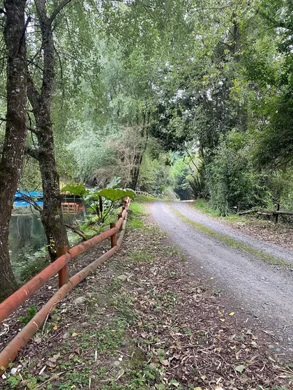 Terreno De 5,8 Ha Con Acceso Cercano Al Lago Frutillar