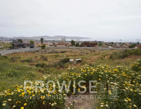 Sitio En Venta Rosario De Peñuelas Coquimbo