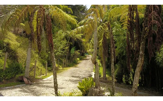 Venta O Renta Finca Independiente Alto De La Virgen Guarne