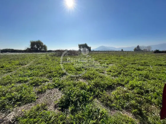 Parcela En Venta En Palmilla